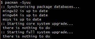 Pacman's output after all packages have been updated