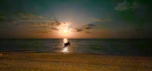 Swaraj Dweep (Havelock Island)